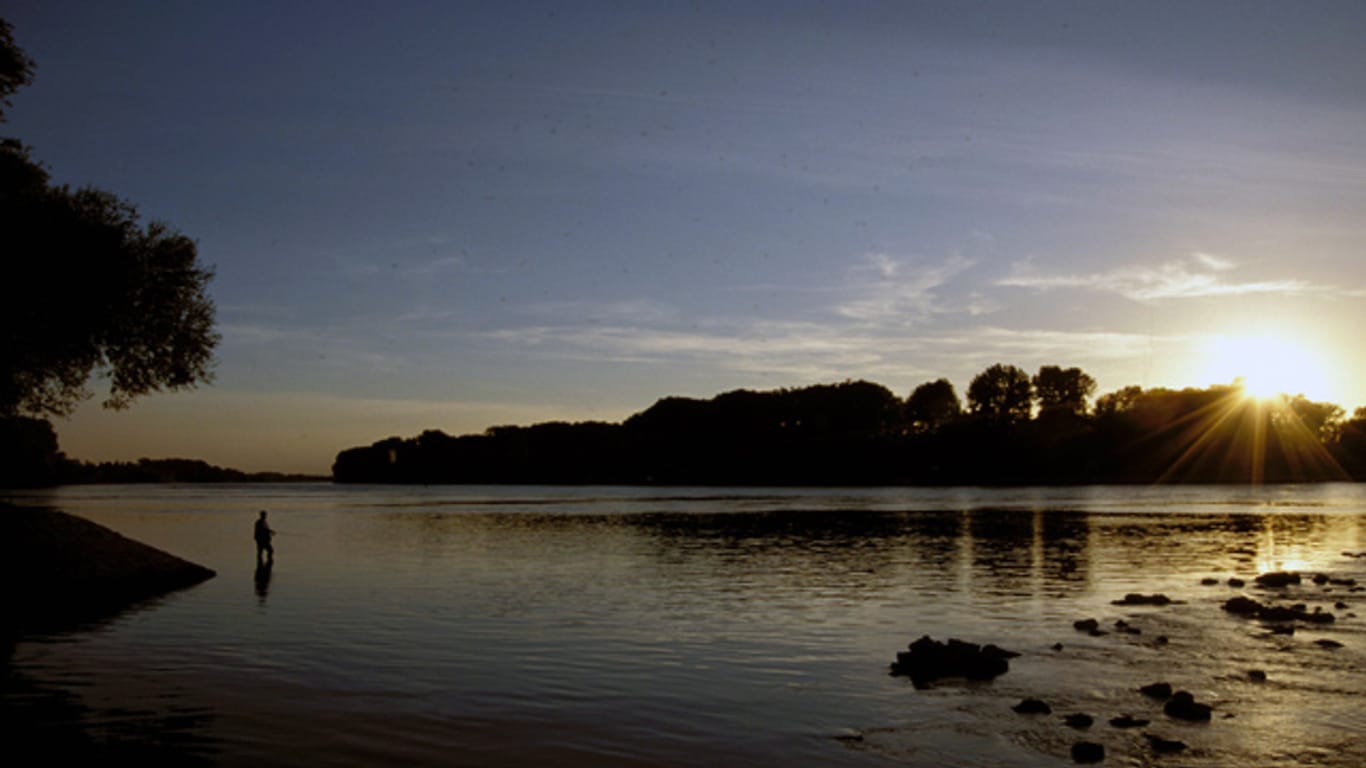 Ein einsamer Angler bei Sonnenuntergang am Rhein bei Karlsruhe – der Traum vieler Hobbyangler