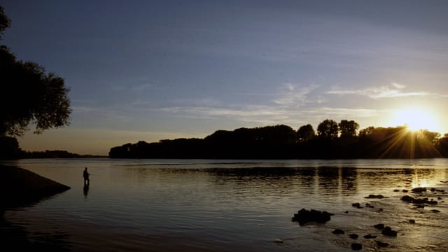 Ein einsamer Angler bei Sonnenuntergang am Rhein bei Karlsruhe – der Traum vieler Hobbyangler