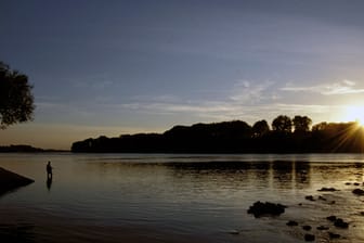 Ein einsamer Angler bei Sonnenuntergang am Rhein bei Karlsruhe – der Traum vieler Hobbyangler