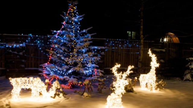 Wenn Sie eine Rotfichte im Garten aufstellen, beweist sich der Baum als echtes Deko-Highlight.