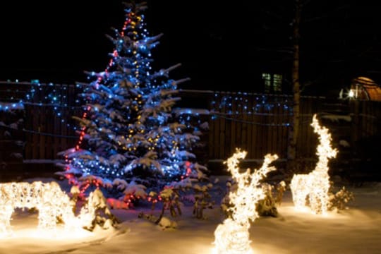 Wenn Sie eine Rotfichte im Garten aufstellen, beweist sich der Baum als echtes Deko-Highlight.