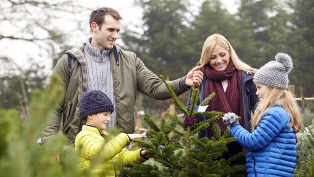 Nehmen Sie sich Zeit für den Weihnachtsbaum-Kauf und lassen die ganze Familie daran teilhaben