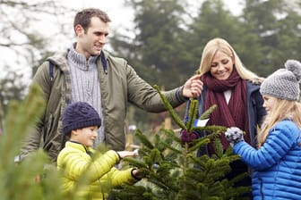 Nehmen Sie sich Zeit für den Weihnachtsbaum-Kauf und lassen die ganze Familie daran teilhaben
