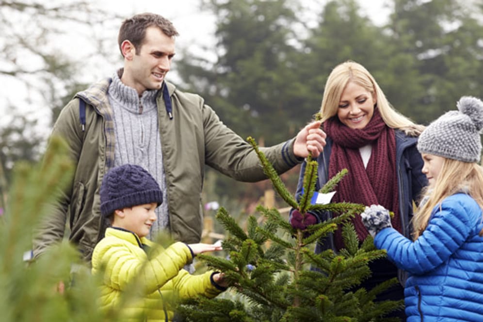 Nehmen Sie sich Zeit für den Weihnachtsbaum-Kauf und lassen die ganze Familie daran teilhaben