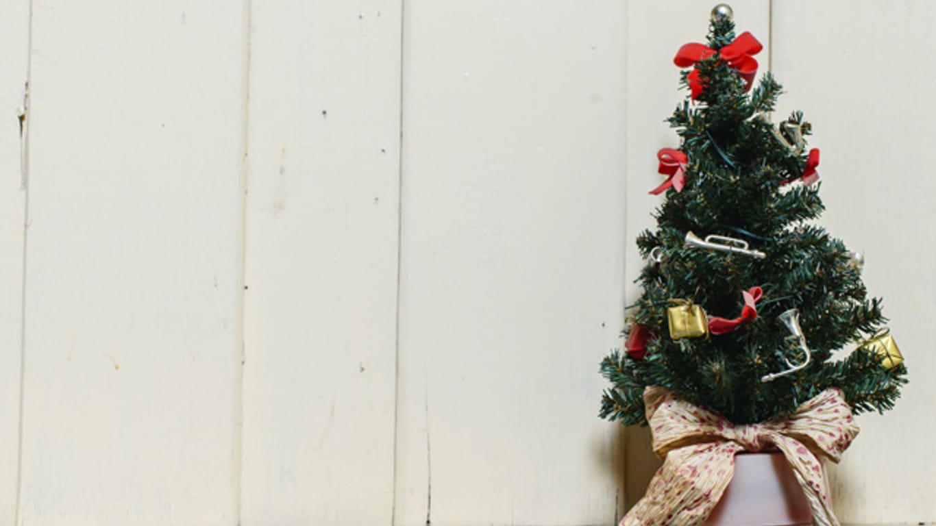 Damit sich Ihr Weihnachtsbaum im Topf lange hält, sollten Sie beim Kauf Acht geben