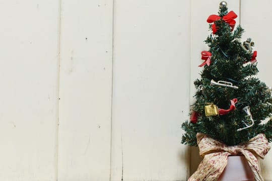 Damit sich Ihr Weihnachtsbaum im Topf lange hält, sollten Sie beim Kauf Acht geben