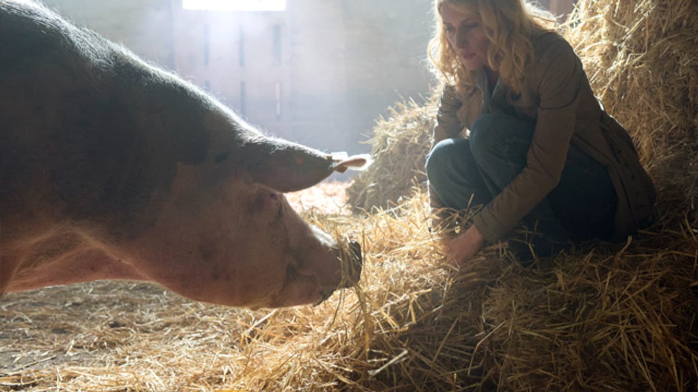 Charlotte Lindholm (Maria Furtwängler) begegnet im neuen "Tatort" dem Schwein Chucky.