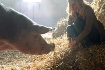 Charlotte Lindholm (Maria Furtwängler) begegnet im neuen "Tatort" dem Schwein Chucky.