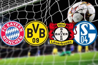 Der FC Bayern München, Borussia Dortmund, Bayer Leverkusen und der FC Schalke 04 stehen im Achtelfinale der Champions League.
