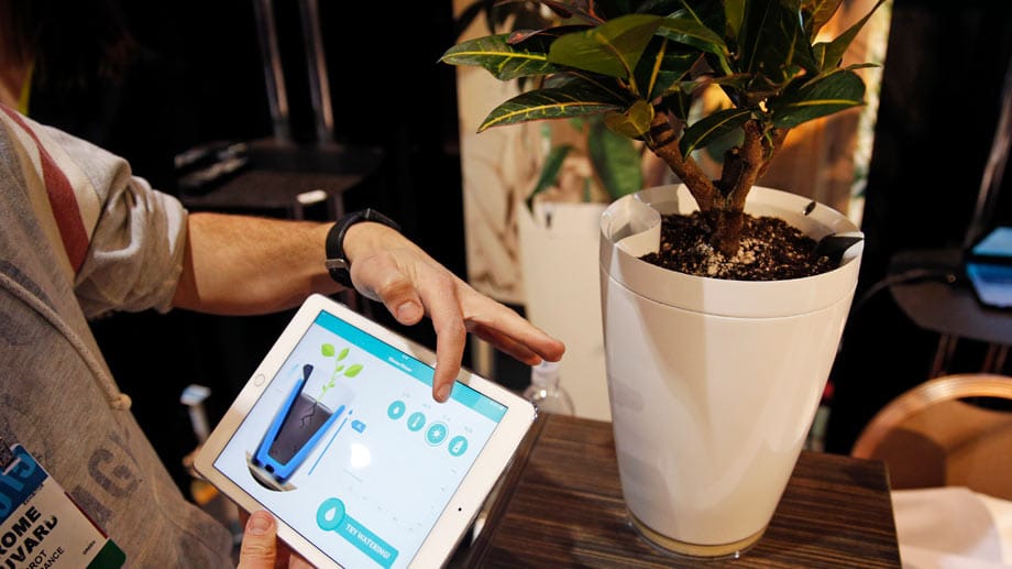Der "Parrot Pot" ist mit Tablet oder Smartphone verbunden und wässert die Pflanze automatisch.
