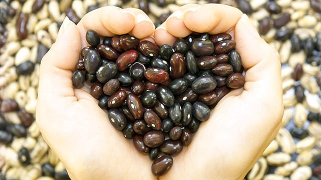 Ballaststoffe: Bohnen schützen vor zu hohen Cholesterinwerten.