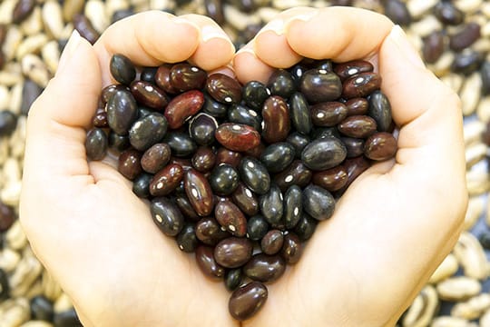 Ballaststoffe: Bohnen schützen vor zu hohen Cholesterinwerten.