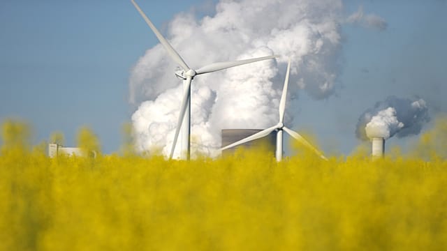 Blühender Raps vor dem RWE-Kohlekraftwerk Niederaussem: Die Energiewende hinterlässt ihre Spuren