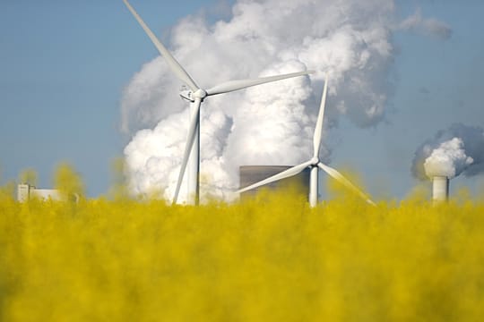 Blühender Raps vor dem RWE-Kohlekraftwerk Niederaussem: Die Energiewende hinterlässt ihre Spuren