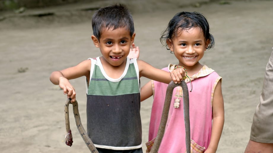 Keine Berührungsängste - Kinder in Indonesien spielen mit einer Schlange.