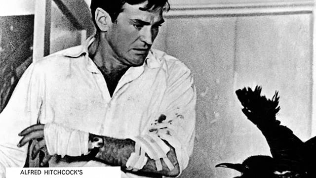 Rod Taylor spielte in Hitchcocks "Die Vögel" eine tragende Rolle.