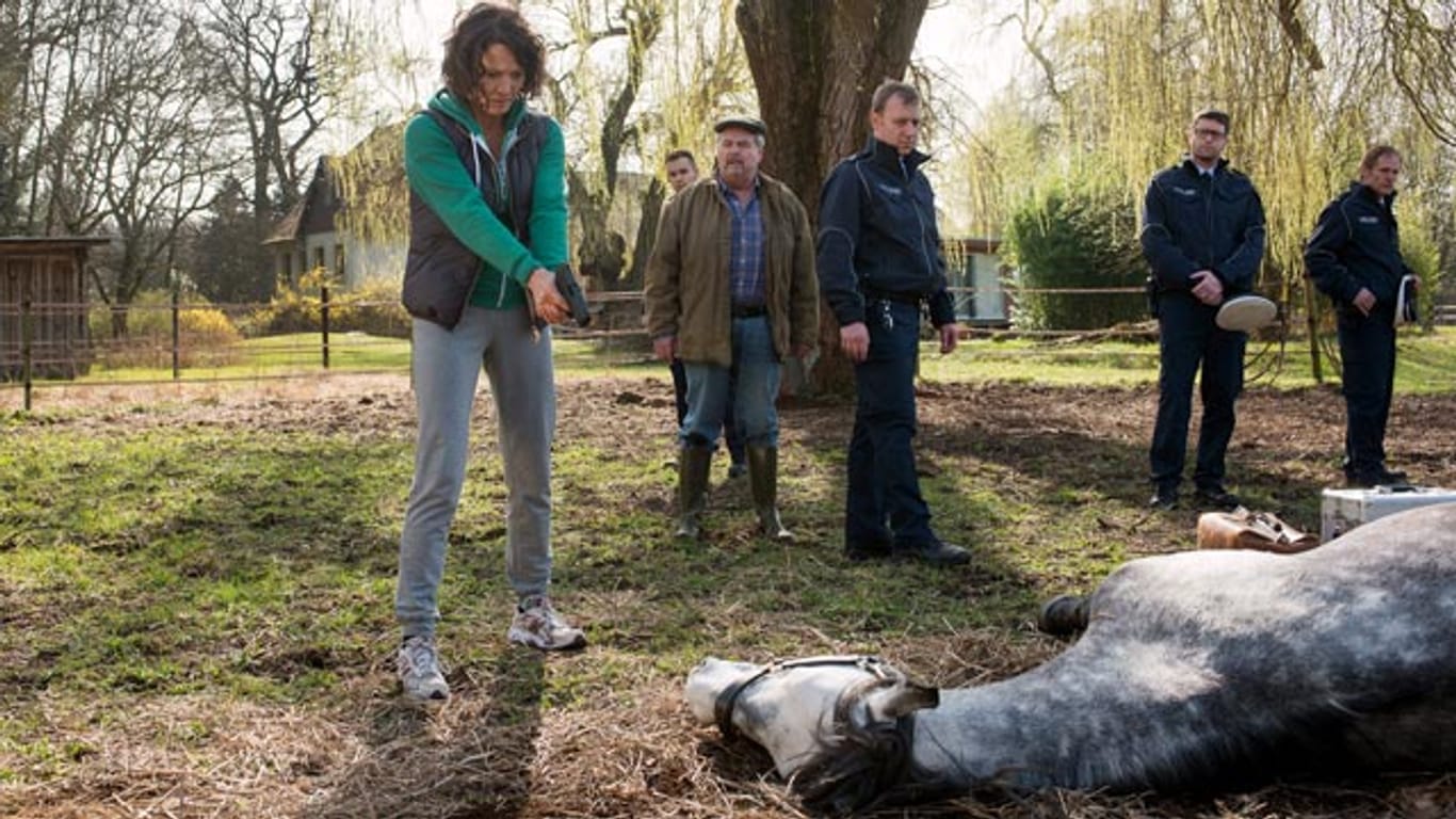 Lena Odenthal (Ulrike Folkerts) muss im neuen "Tatort" einem geschändeten Pferd den Gnadenschuss versetzen.