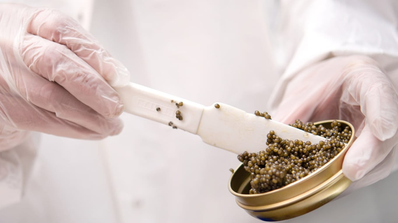 Kaviar: Die luxuriöse Feinkost gibt es jetzt auch als Hautpflege.