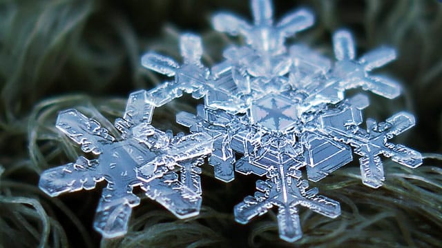 Filigranes Gebilde: Ein Eiskristall in Nahsicht Filigranes Gebilde: Ein Eiskristall in Nahsicht