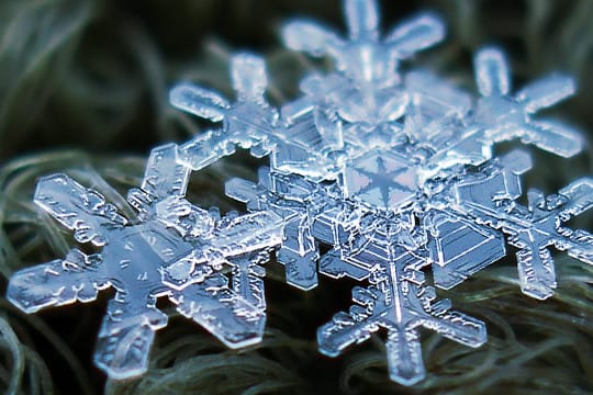 Filigranes Gebilde: Ein Eiskristall in Nahsicht