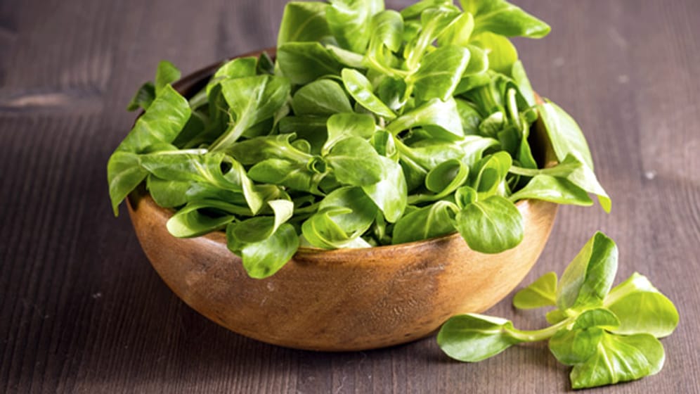 Feldsalat enthält besonders viel Vitamin B9 – vielleicht ist er darum so beliebt bei Schwangeren.