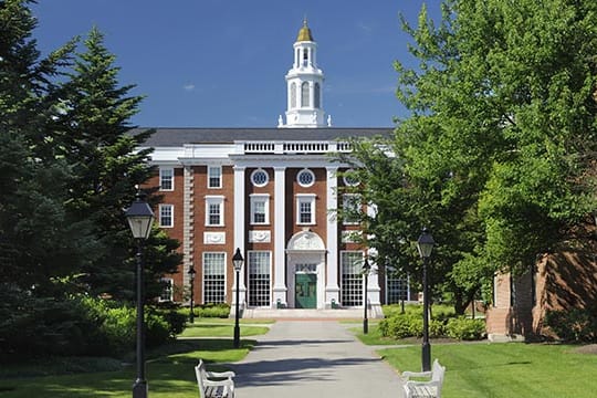Harvard-Professoren dürfen fortan keinen Sex mehr mit Studenten ihrer Hochschule haben.