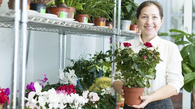 Im Gartencenter erhalten Sie hauptsächlich Containerrosen, diese können Sie auch im Sommer einpflanzen.