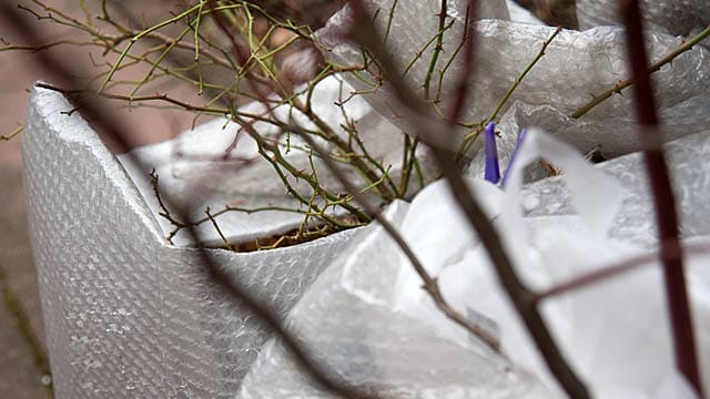 Bitte auspacken: Unter der dicken Schutzschicht wird es jetzt manchen Pflanzen zu warm.