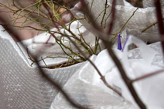 Bitte auspacken: Unter der dicken Schutzschicht wird es jetzt manchen Pflanzen zu warm.