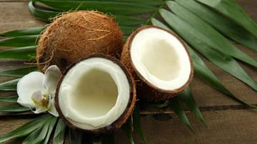 Aromatische Palmfrucht: Die harte Schale der Kokosnuss ist schwer zu knacken. Dabei ist es mit der richtigen Technik ganz einfach: Zuerst durchbohren Sie die Augen der Kokosnuss mit einem Korkenzieher oder Schraubenzieher und lassen durch die entstandenen Löcher das Kokoswasser ablaufen. Dann schlagen Sie vorsichtig mit der spitzen Seite eines Hammers um die Mitte der Kokosnuss herum, bis sich ein Riss bildet. So lässt sich die Kokosnuss relativ leicht aufbrechen.