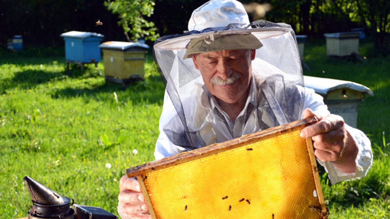 Kein Imker kann Bio-Qualität von Honig garantieren, aber die Richtlinien befolgen.