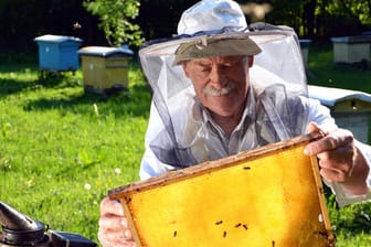 Kein Imker kann Bio-Qualität von Honig garantieren, aber die Richtlinien befolgen.