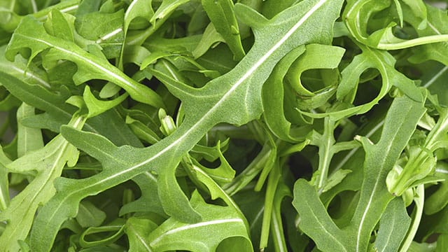 Rucola-Salat von Penny und Rewe wurde von "Öko-Test" als "ungenügend" bewertet.