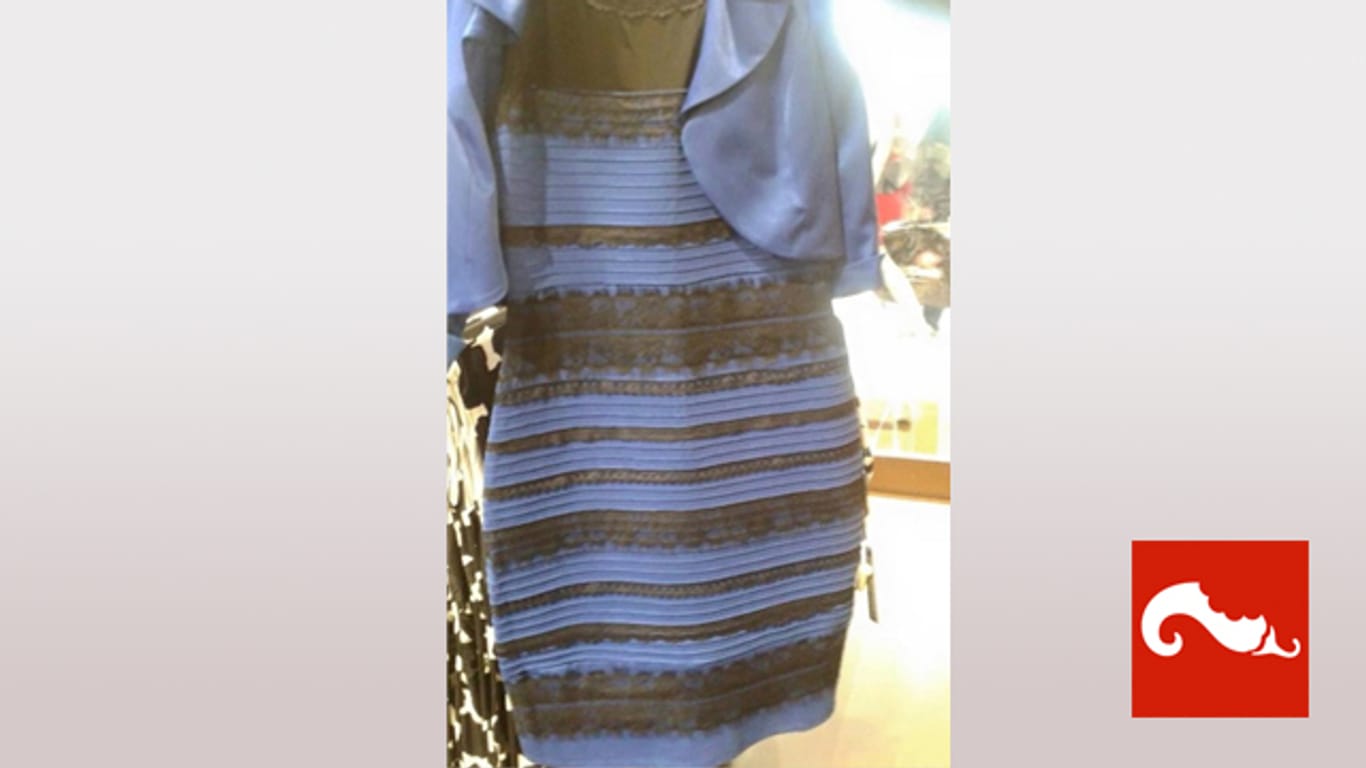Dieses Bild von einem Kleid sorgt für Diskussionen im Netz.