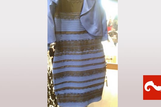 Dieses Bild von einem Kleid sorgt für Diskussionen im Netz.