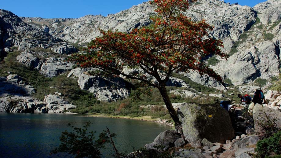 Natur pur! Der Lac de Melo auf Korsika in 1710 Metern Höhe ist nur zu Fuß erreichbar.