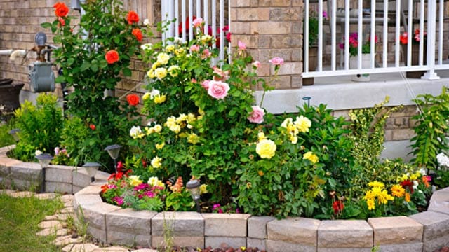 Wenn Sie einen Rosenbeet anlegen möchten, sollten Sie vorher an die Blumenplanung denken.