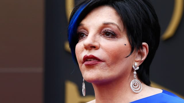 Liza Minnelli (69) hat sich in eine Entzugsklinik einweisen lassen.