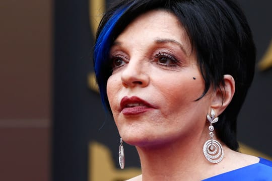 Liza Minnelli (69) hat sich in eine Entzugsklinik einweisen lassen.