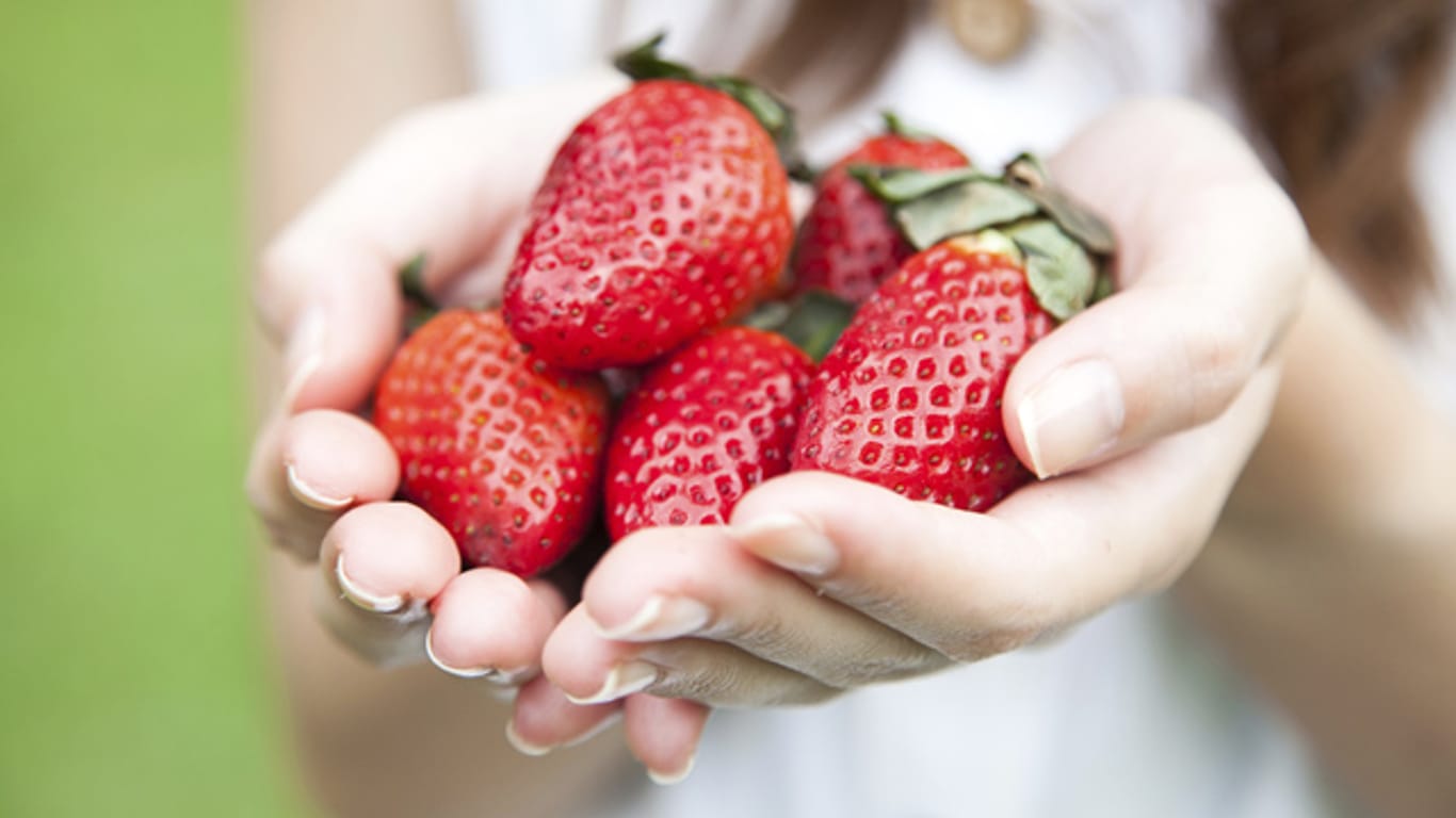 Pro hundert Gramm enthalten Erdbeeren gerade einmal 32 Kalorien.
