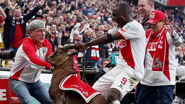 An den Hörnern gepackt: Kölns Stürmer Anthony Ujah vergriff sich nach seinem Treffer gegen Frankfurt beim Torjubel.