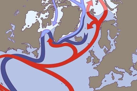 Der Golfstrom transportiert Wärme von der Karibik und beeinflusst so auch das Klima in Europa.