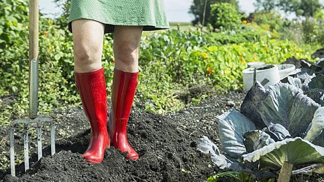 Auf gutem Gartenboden wachsen Pflanzen besser.