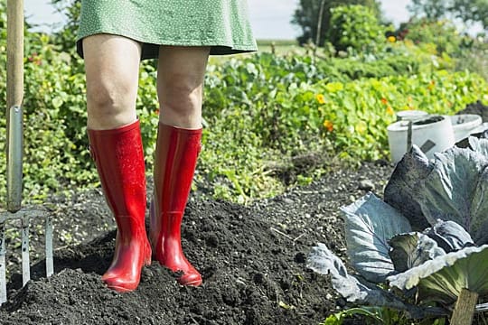 Auf gutem Gartenboden wachsen Pflanzen besser.