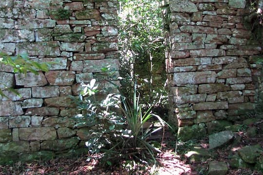 Bei dieser Ruine soll es sich um einen Zufluchtsort der Nazis handeln.