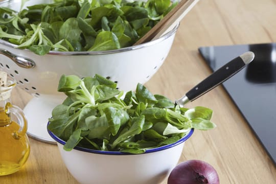 Feldsalat sollte nach dem Kauf rasch verzehrt werden, da er schnell welk wird.