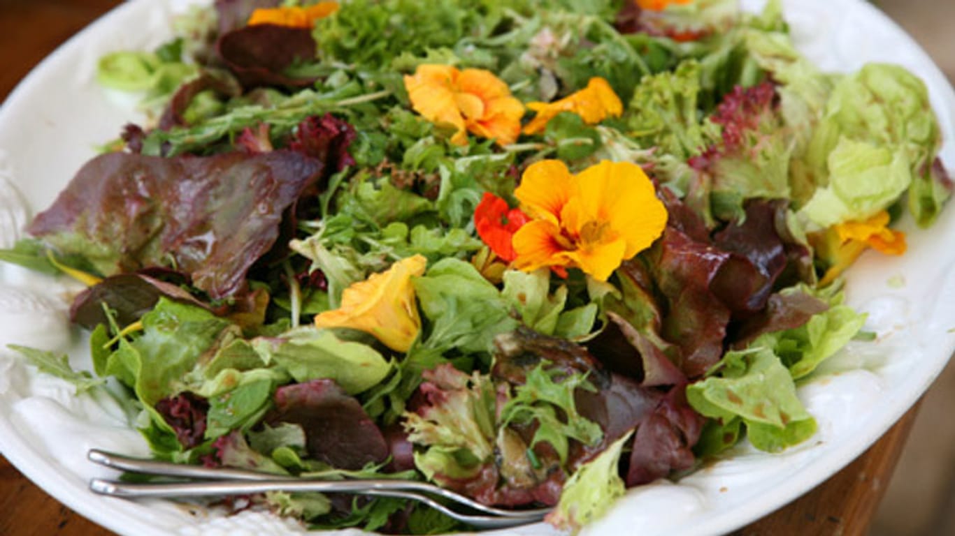 Mit Blüten dekoriert, ist Kapuzinerkresse-Salat ein echtes Highlight auf jedem Tisch.