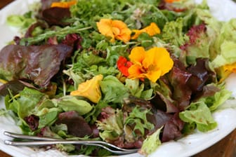 Mit Blüten dekoriert, ist Kapuzinerkresse-Salat ein echtes Highlight auf jedem Tisch.
