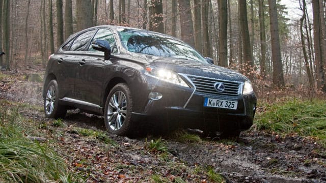 Diese SUV machen auch abseits der Straße eine gute Figur.