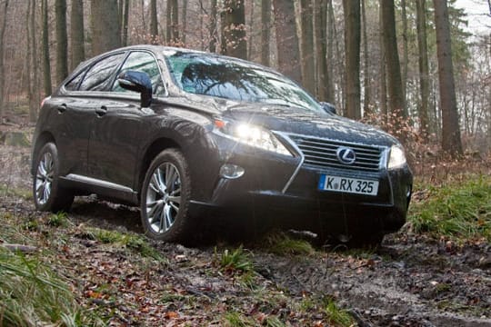 Diese SUV machen auch abseits der Straße eine gute Figur.